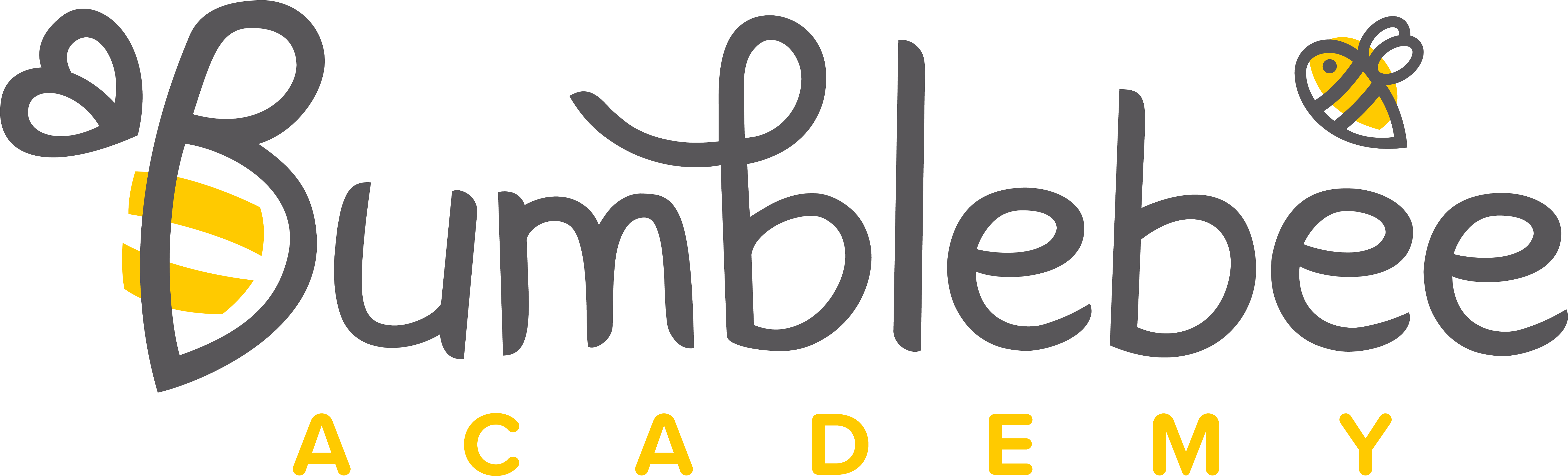 Bumblebee Academy